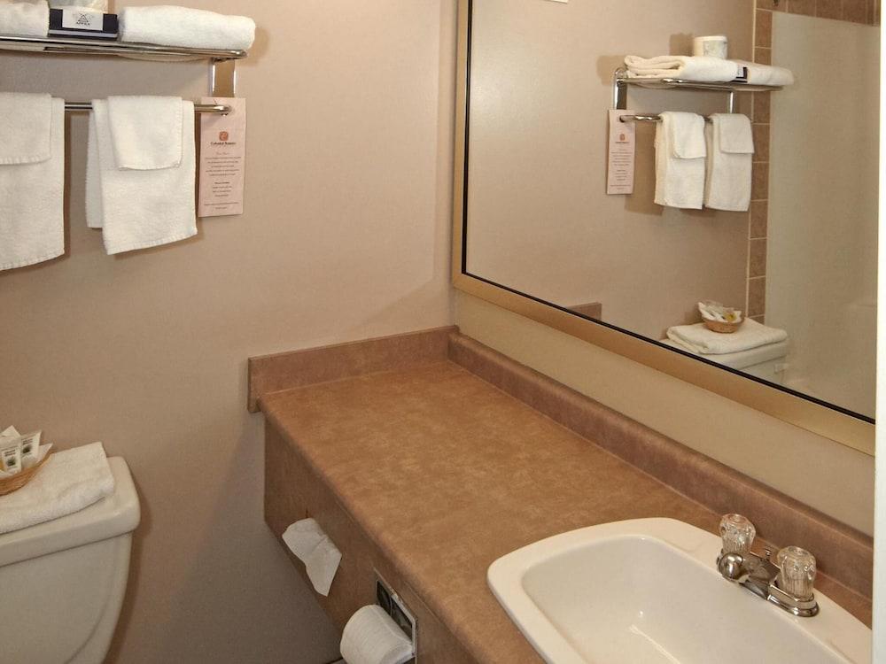 Colonial Square Inn & Suites Σασκάτουν Εξωτερικό φωτογραφία